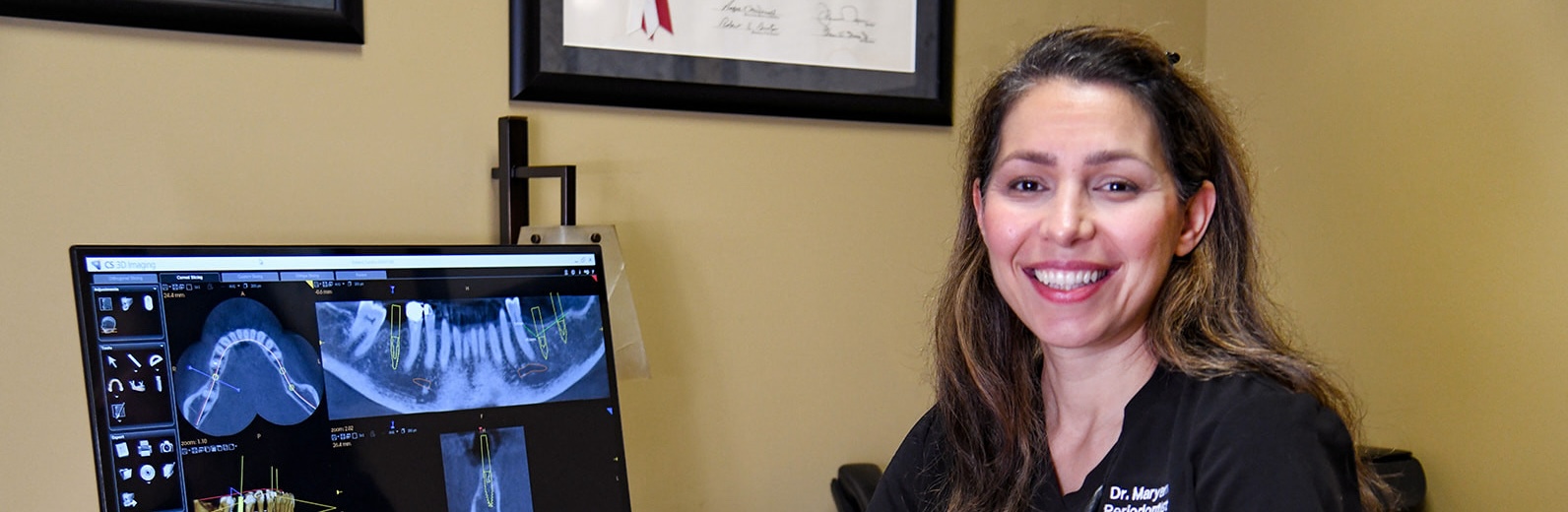 Portrait of Mr Maryam Habibzadeh,