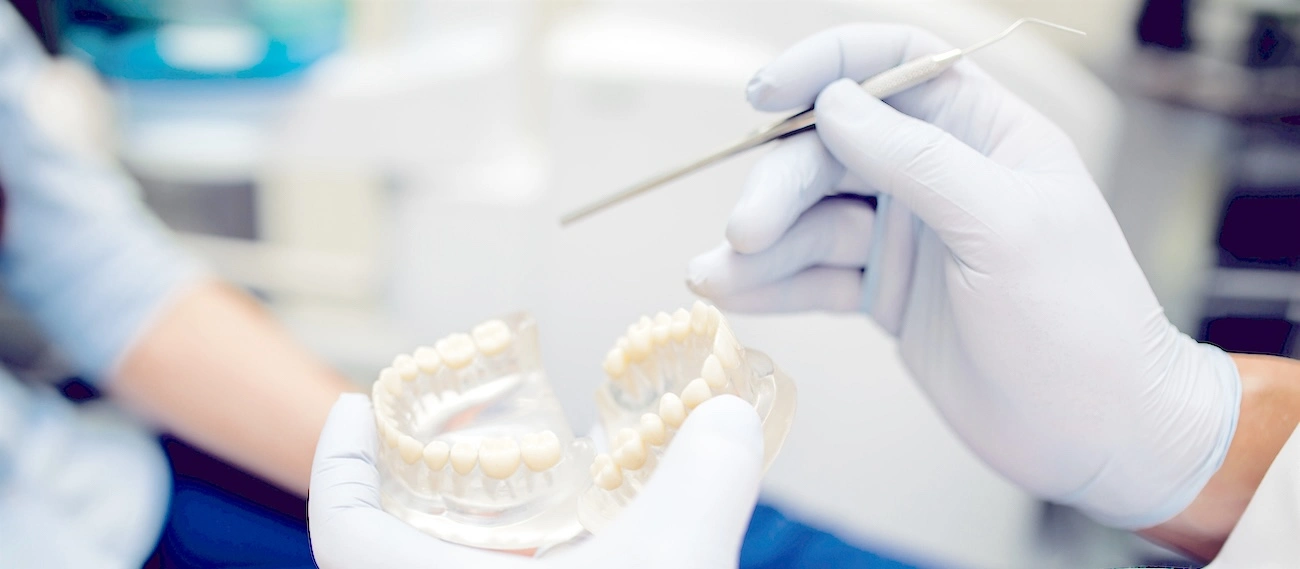 Periodontal specialist examining a dental model